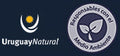 Premio internacional